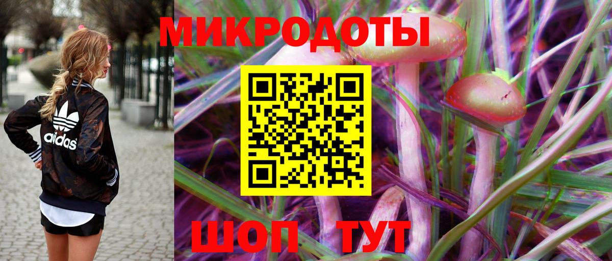 продажа наркотиков  Вход с VPN  Красноярск  Псилоцибиновые грибы GOLDEN TEACHER 